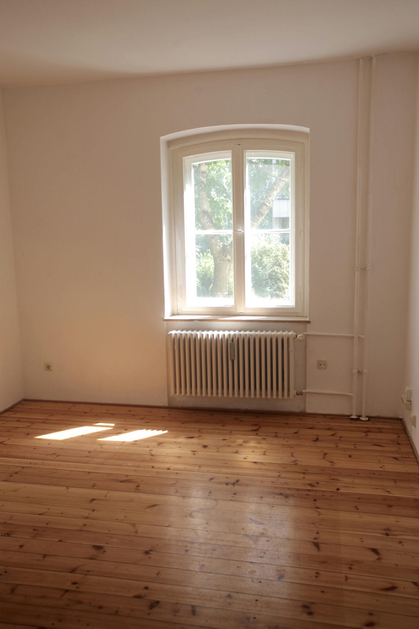 Empty apartment room with sunlight coming through a big window, showing clean wooden floors and white walls, perfect for a fresh, pest-free apartment after a deep clean.