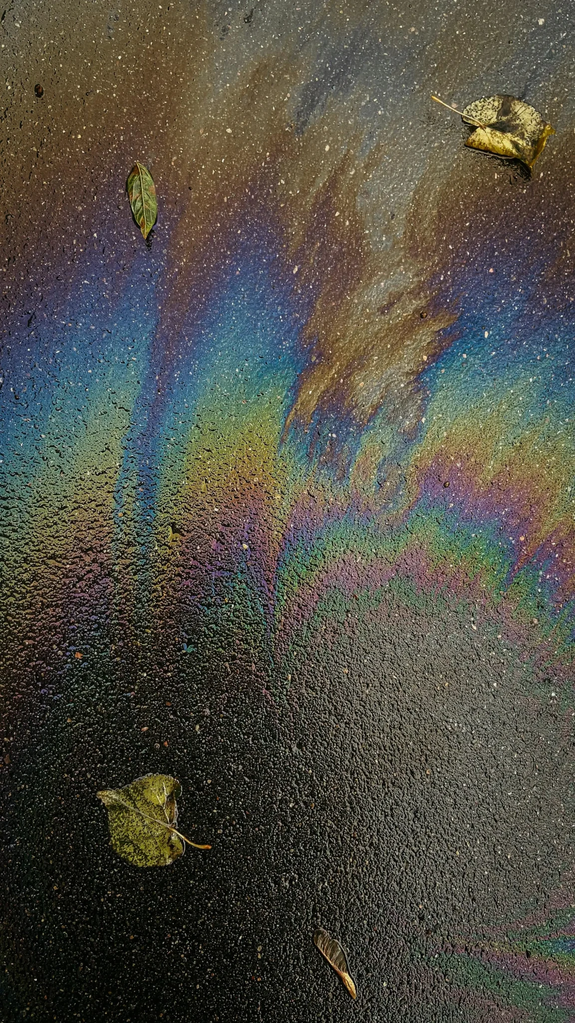 Gasoline spill on concrete with rainbow colors and fallen leaves, showing the importance of cleaning up to avoid stains and risks.