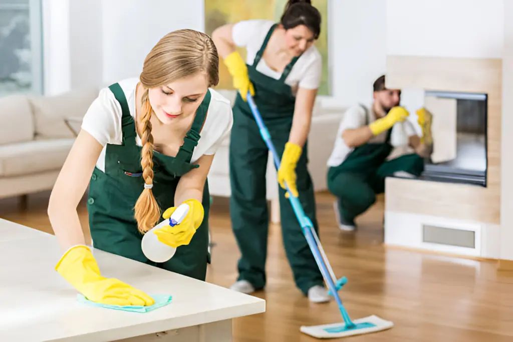 Cleaning Services Bronx NY