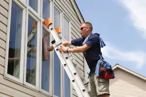 How to Clean High Windows with Bird Poop A Simple Step-by-Step Guide