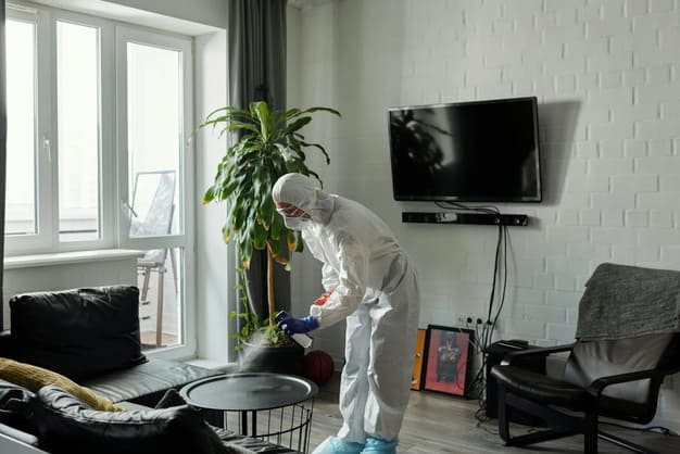 trauma cleaning services