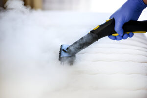 Can You Use a Carpet Cleaner to Clean a Mattress?