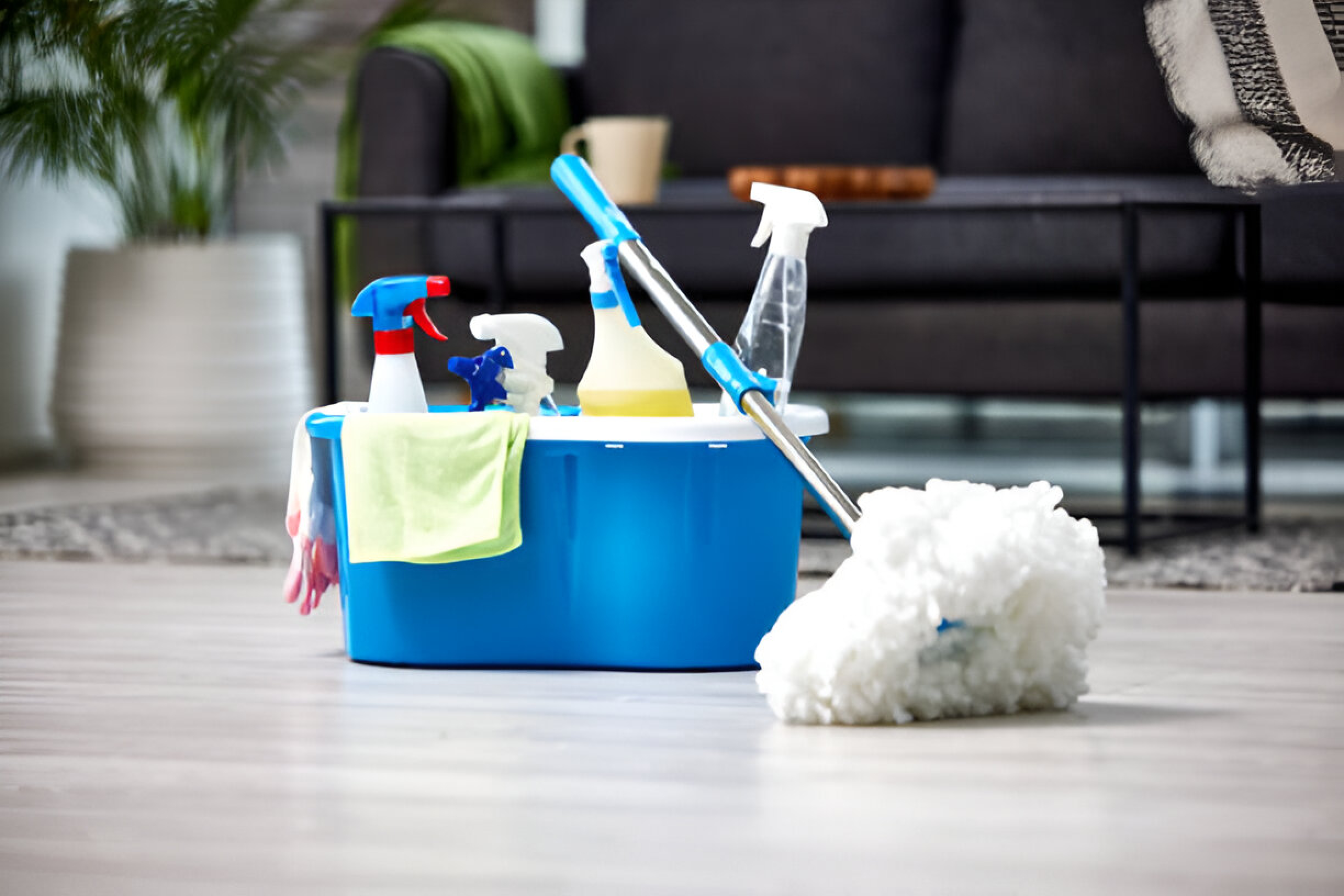 https://www.istockphoto.com/photo/shot-of-a-bucket-of-cleaning-supplies-gm1365606525-436414009?searchscope=image%2Cfilm